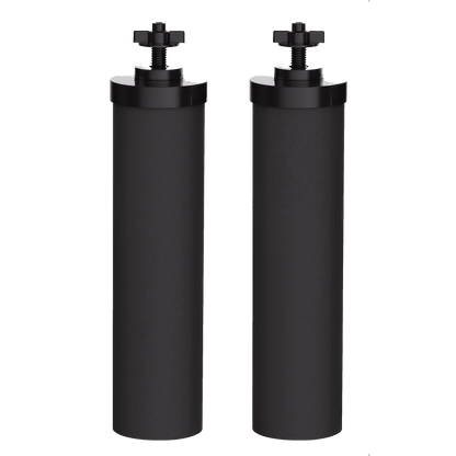 Replacement Carbon Water Filter 2 Pack for Big Flow Gravity System