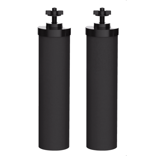 Replacement Carbon Water Filter 2 Pack for Big Flow Gravity System